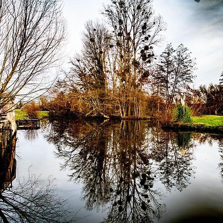 Le Moulin De Gateau Hotel Saint-Pierre-les-Etieux ภายนอก รูปภาพ
