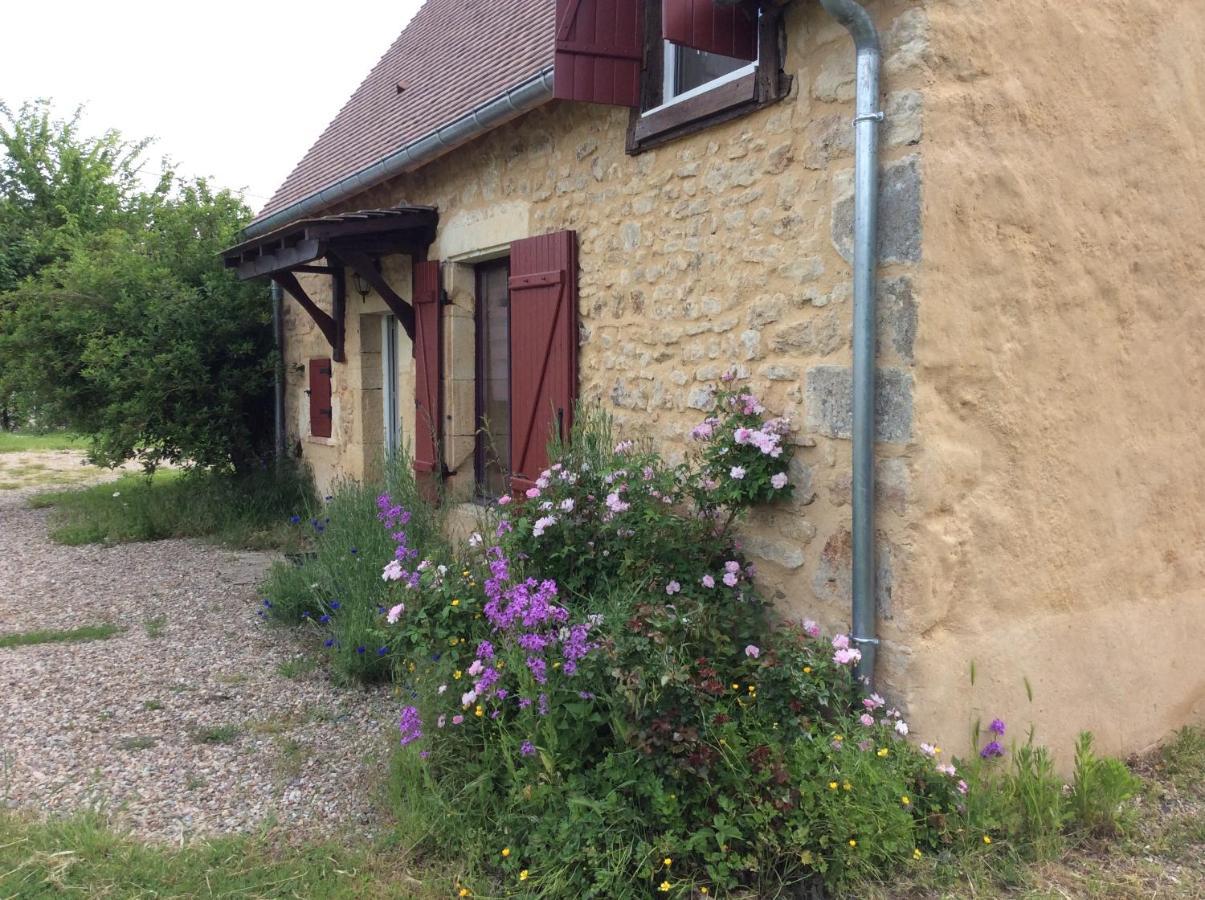 Le Moulin De Gateau Hotel Saint-Pierre-les-Etieux ภายนอก รูปภาพ